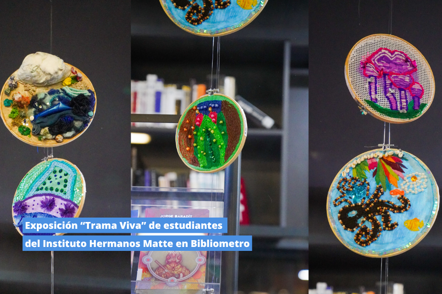 Artes en la SIP: vínculos que se construyen desde la experiencia