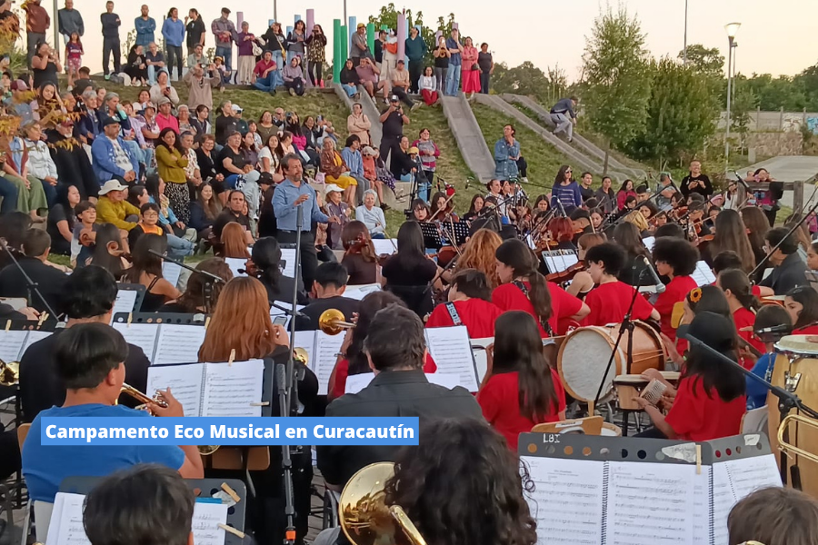 Música en la SIP: desarrollo artístico y formación en red