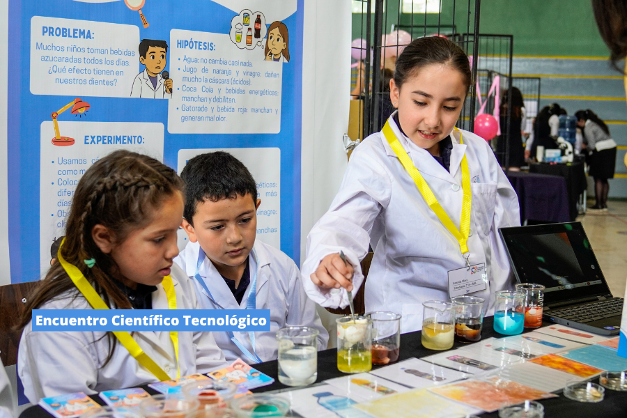 Actividades en red: aprendizaje, encuentro y desarrollo integral